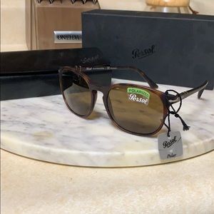 Person Havana Polarized Sunglasses